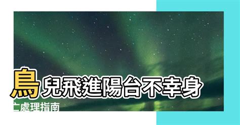 鳥死在陽台風水|陽台死鳥：風水攻略